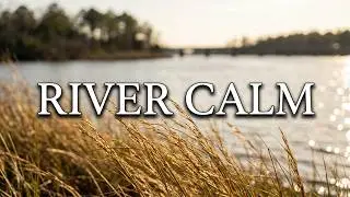 Wind Blown Grass on the Neuse. #background #nature #chill #vibe #relax #river