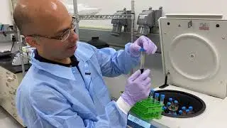 Why does spaceflight affect astronauts&rsquo; immune systems?