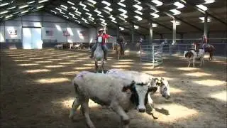 derrez