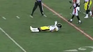 Ryan Shazier Suffers Back Injury - Possibly Paralyzed (HD)