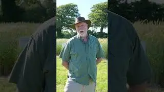 Seedtech Open Day Guest 2024