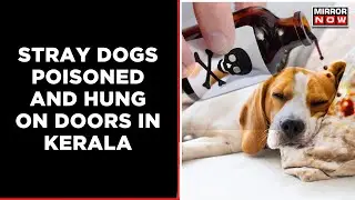Kerala Shocker : Barbaric Response To Dog Bites; Poisoned And Hung On Doors | Latest English News