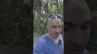 Highlands Hammock State Park Short copy #2025 #hiking #adventure