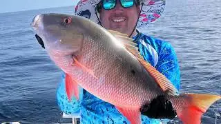 Snappers in Key Largo | Saltwater Fishing