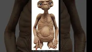 🗽 RUTH the MOABITESS 🗽 OLIVE 👁️ HUE ❣️ COPPER 👁️👁️👁️👁️ 99 🐊 STUPID O 🐧 UNCIVILIZED 👁️ MATADOR s 🐂