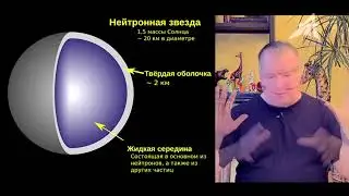 Настоящие люди и роботы