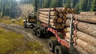 Carga grande de troncos  - Western Star 6900XD | SnowRunner