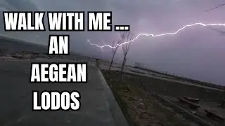 Walking with cats in a storm