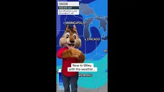Escape the Cold at Great Wolf Lodge