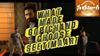 SEETIMAAR REVIEW | GOPICHAND | TAMANNA