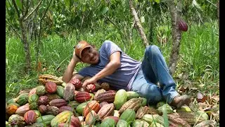 Episode 7: Guatemala's Heirloom Awakening