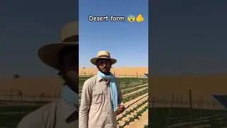 😨🫵&ldquo;Registhan Mein Ugti Yeh Fasal Dekh Kar Sab Hairaan!&rdquo; #music #youtubeshorts #shorts #viral #new