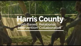 Harris County Trust-Based Relational Intervention (TBRI®) Collaborative