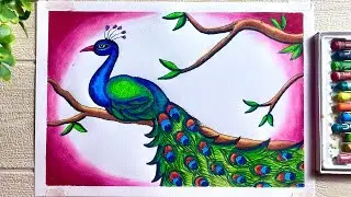 Beautiful Peacock Drawing , Peacock Drawing With Oil Pastel, Nature Scenery Painting