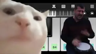 Cat Vibing To Ievan Polkka | Meme Song // Easy Piano Tutorial | Mobile Piano Tutorial