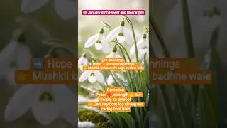 January Birth Flower 🌸Strong, loving & hopeful  #JanuaryBirthFlower#Carnation#Snowdrop#FlowerMeaning