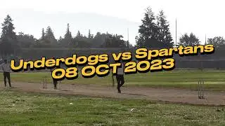 Underdogs vs Spartans | CricBay Fall Open 2023 | AHS #cricbay