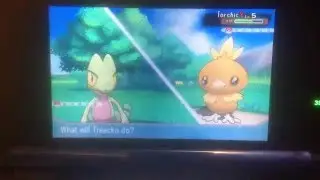 Pok&eacute;mon OR/AS - Music Hack/ Replacement Test #2
