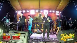 FERNANDO GALARZA Y LOS LOBITOS DEL SABOR MIX A - LA VIZCACHERA
