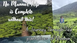 Exploring Munnar&rsquo;s Tea Plantations 🍃 | Lockhart Estate &ndash; Where Tea Meets the Clouds ☁️ #munnar #tea