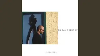 Spring Beat