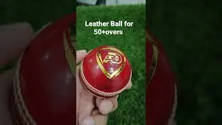 Guys BEST Quality Leather Balls