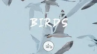 FREE FUTURE x The Wizrd Type Beat 2019 | &ldquo;BIRDS&rdquo; Trap Instrumental 2019 Prod. By Kam Legend