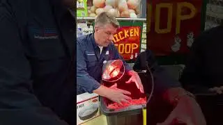 Heat Lamp Tips