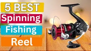 Top 5 Best Spinning Fishing Reels 2026 Ultra Smooth & Saltwater Ready