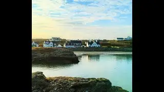 Walk with Twinkle - Porth Diana and Porth y Castell