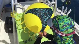 How To Easily Attach Helium Balloon To Fishing Kite -ZTRAPON Fishing