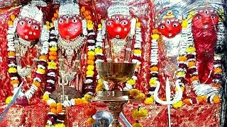 Shree Chamunda Maa Sojat City ❤️ श्री चामुण्डा मां  Divya Vaishnav 20-7-2025 खम्मा घणी सा