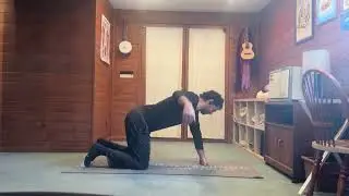 Thoracic Spine Rehabilitation Mobility Exercises, Safe and Simple, All Levels