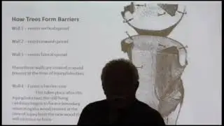 Landscape Training - Structure Pruning - Compartmentalization of Decay in Trees