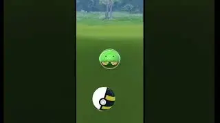 Caught Wild ✨ Shiny ✨ Kabuto In Pokemon Go