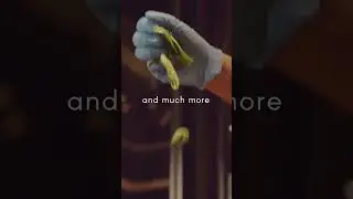 Global dining at its finest