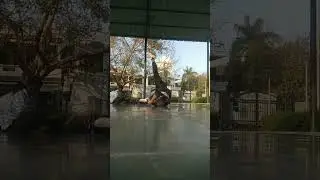 practice #bboynickindia#shorts #youtube#explore #redbullbcone#like #breaking#practice#bboy...