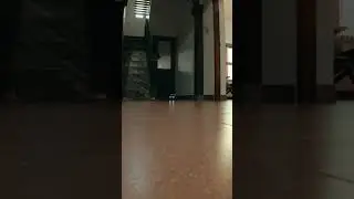 RC car drifting #shotoninsta360 #insta360x4 #acepro2 #rccar #drifting #automobile