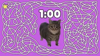 1 Minute Timer - OIIA Cat