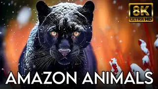 Amazon Rainforest Wildlife 4K | Jungle Animal Sounds & Relaxing Nature Ambience for Sleep