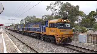 NR61 + NR111 #5MP5