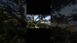 Wendy's Secret Garden