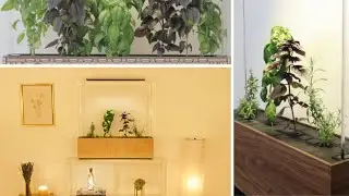 The Herb Garden - Indoor Garden For Growing Fresh Herbs and Vegetables In 2020