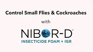 Navigating Pest Control Challenges: Insights from Dr. Jamel Sandidge.