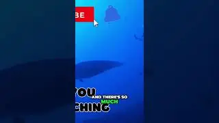 Магия мант: удивительные факты об океане!