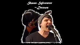 Shaun Sylvester ~ Drown ~ Independent Heavy Metal
