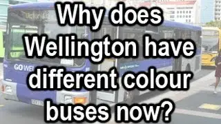 Why does Wellington have different coloured buses now?