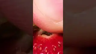 Extra zoom object video 🤯.