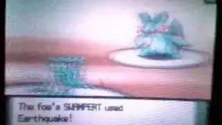 vs. Shinyhunter (PE2K): Pokemon D/P Wi-Fi Battle