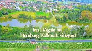 Ian Meets the Producers: The Homburg Kallmuth and Silvaner, one of the Franken&rsquo;s grand crus